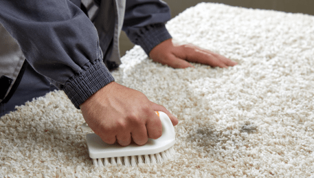 Professional Rug Cleaning St Albans